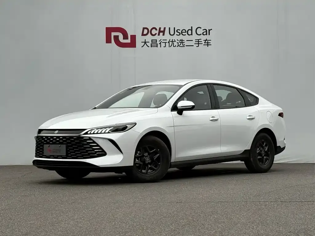 BYD Qin PLUS — фото 1