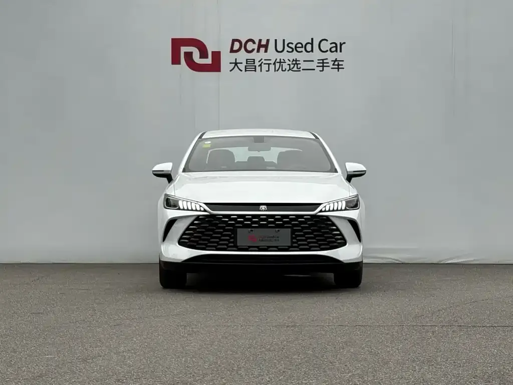 BYD Qin PLUS — фото 4