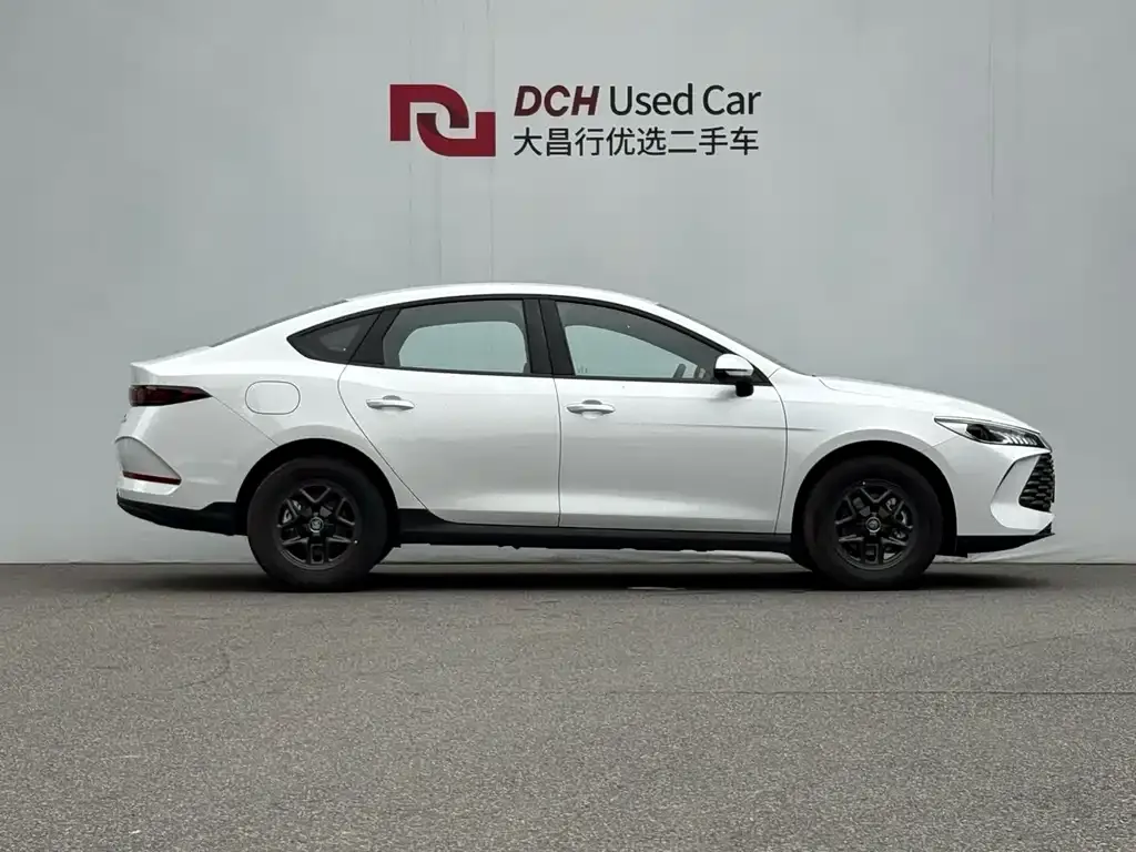 BYD Qin PLUS — фото 2