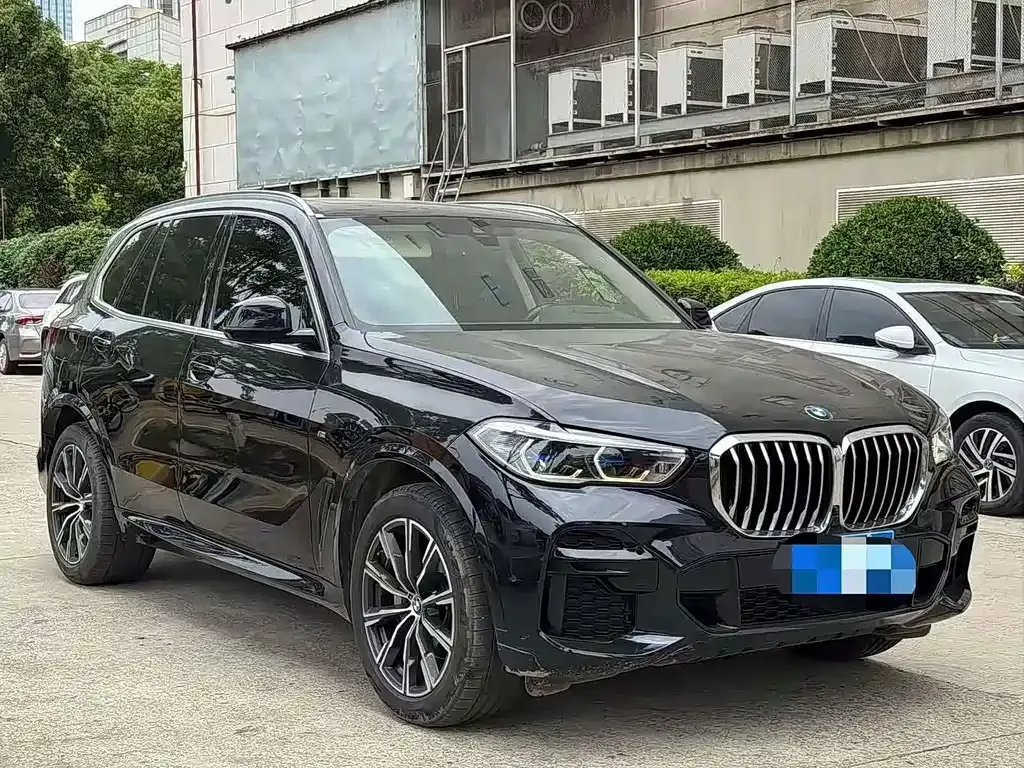 BMW X5 (Import) — фото 8