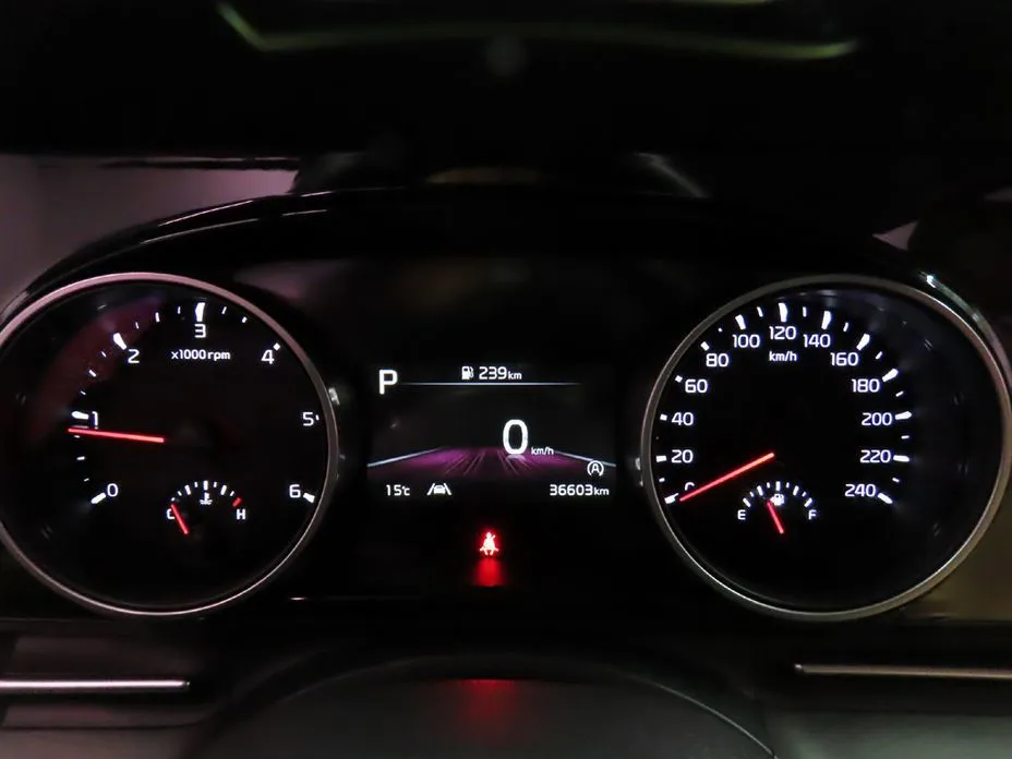 Kia Carnival — фото 10