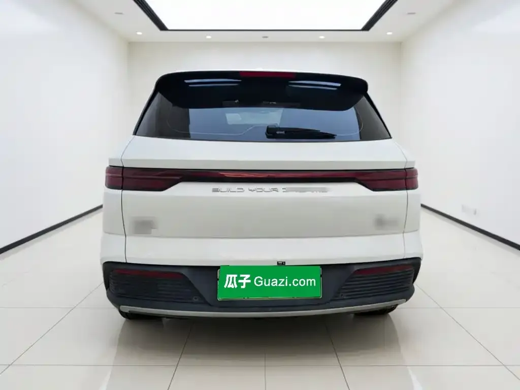 BYD Pro New Energy — фото 3