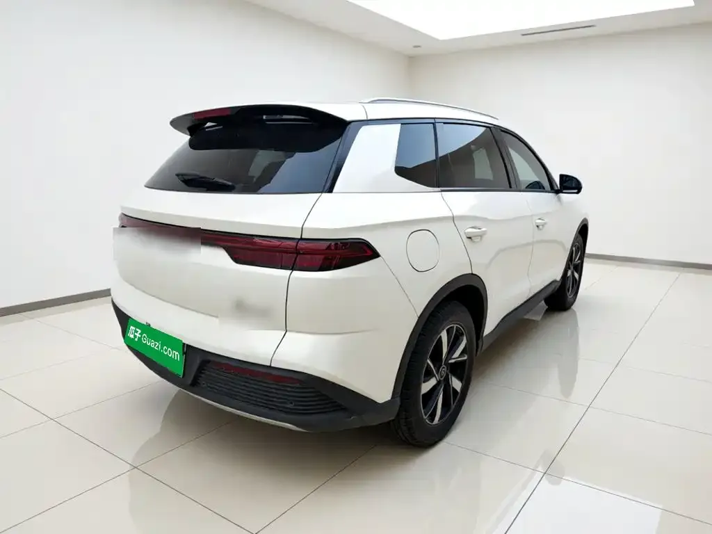BYD Pro New Energy — фото 7
