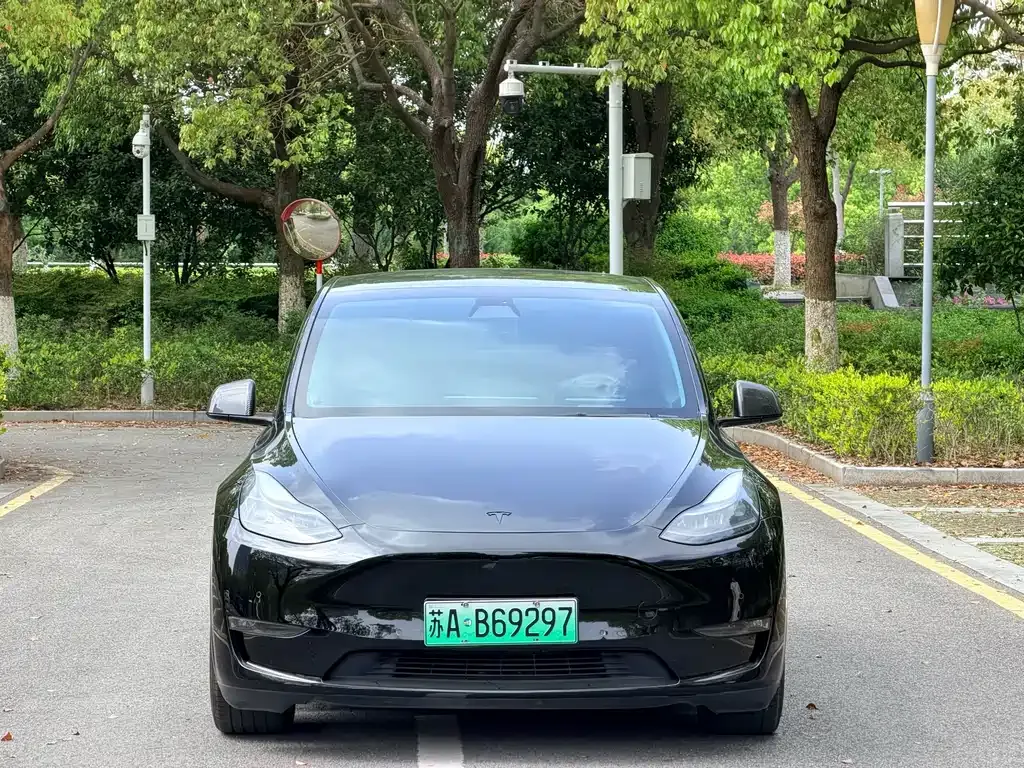 Tesla Model Y — фото 10