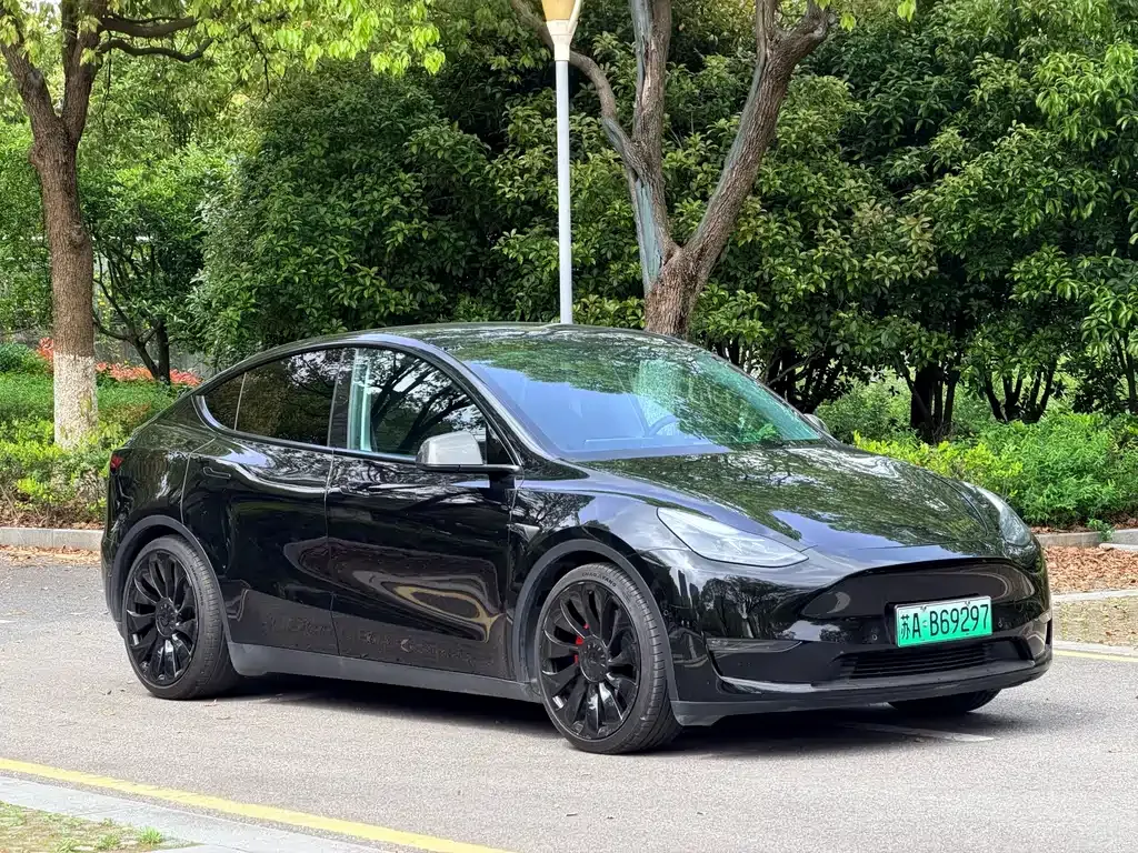 Tesla Model Y — фото 9
