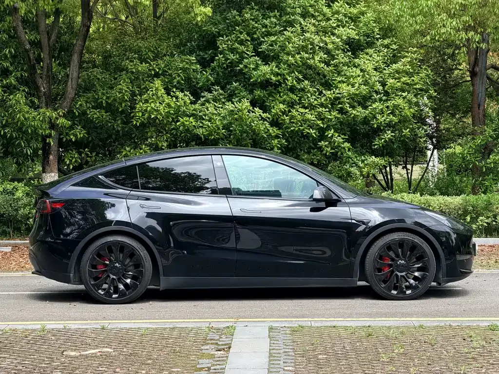 Tesla Model Y — фото 4