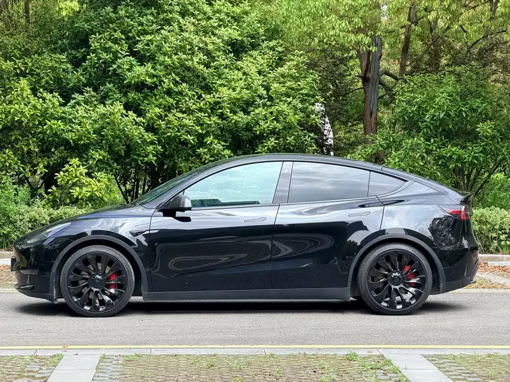 Tesla Model Y — фото 3