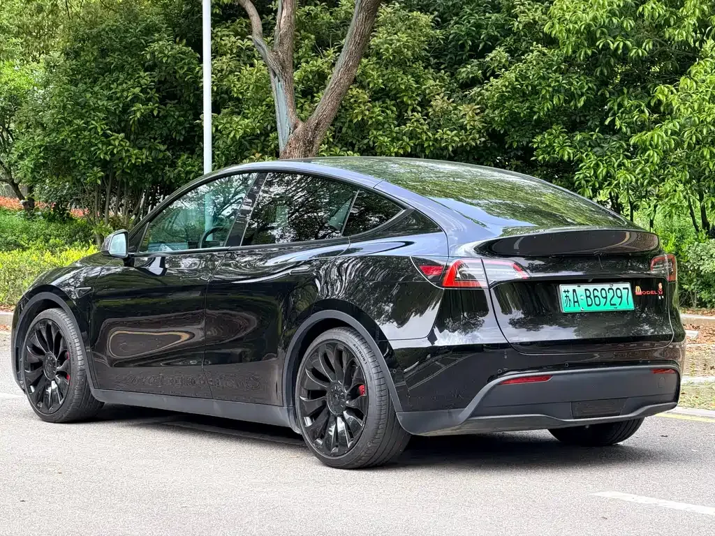 Tesla Model Y — фото 6
