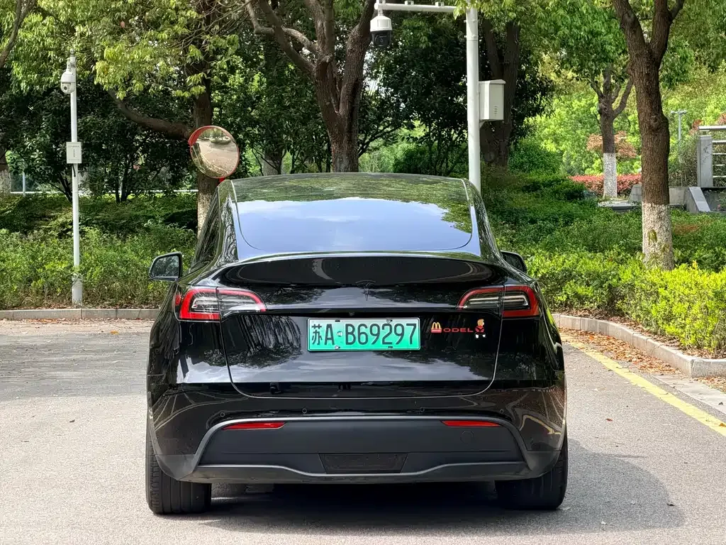 Tesla Model Y — фото 5
