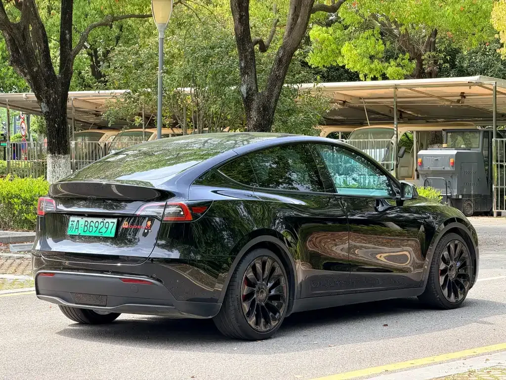 Tesla Model Y — фото 8