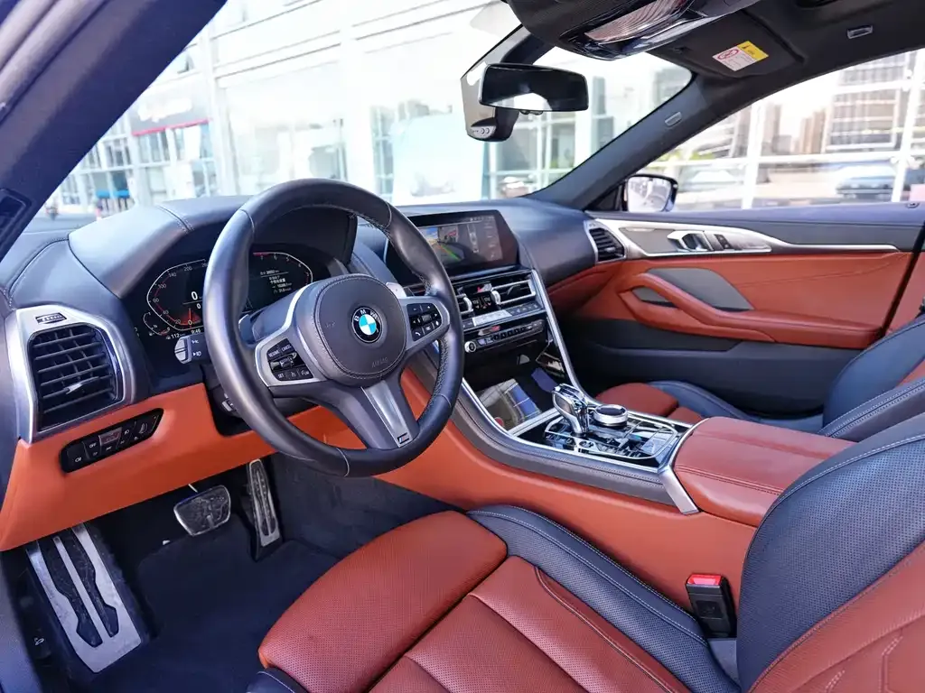 BMW 8 Series — фото 9