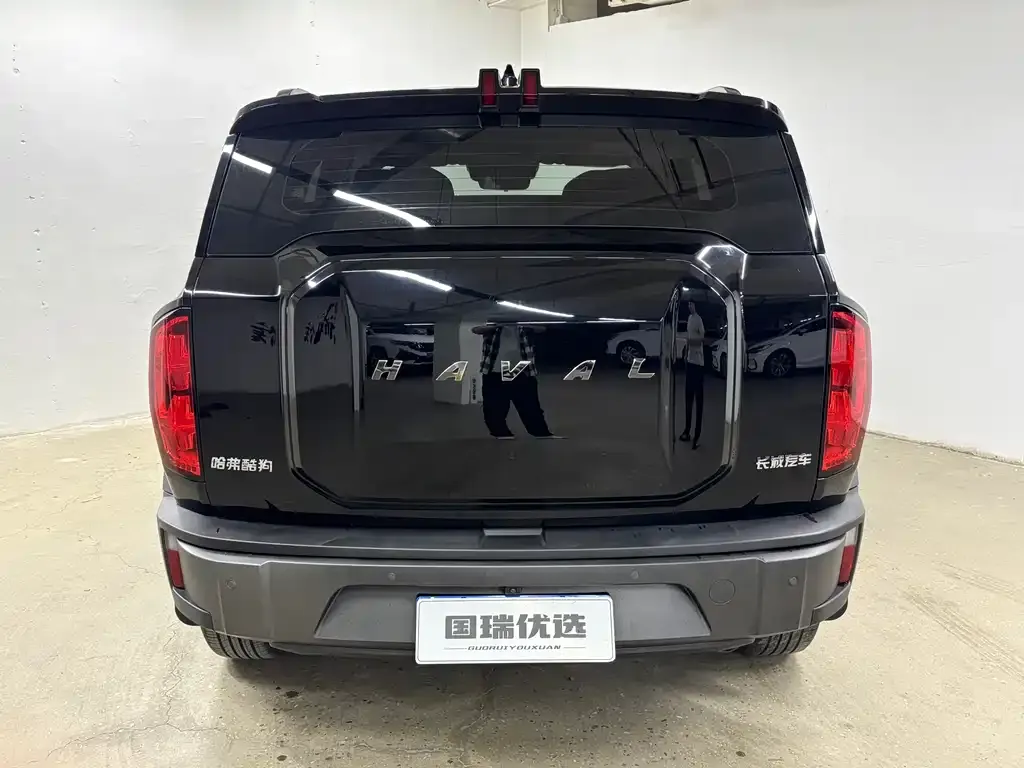 Haval Cool Dog — фото 10