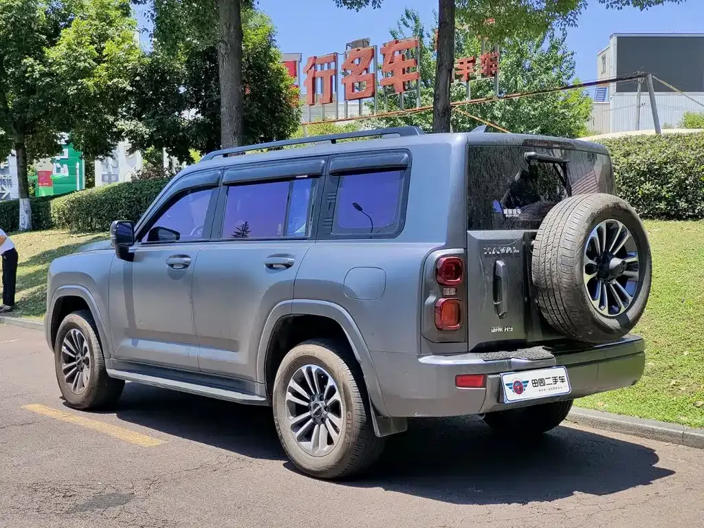 Haval H9 2024 из CN, фото 9