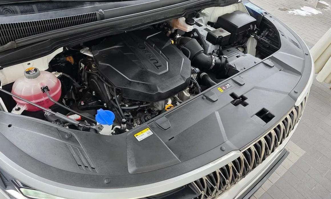 Kia Carnival — фото 10