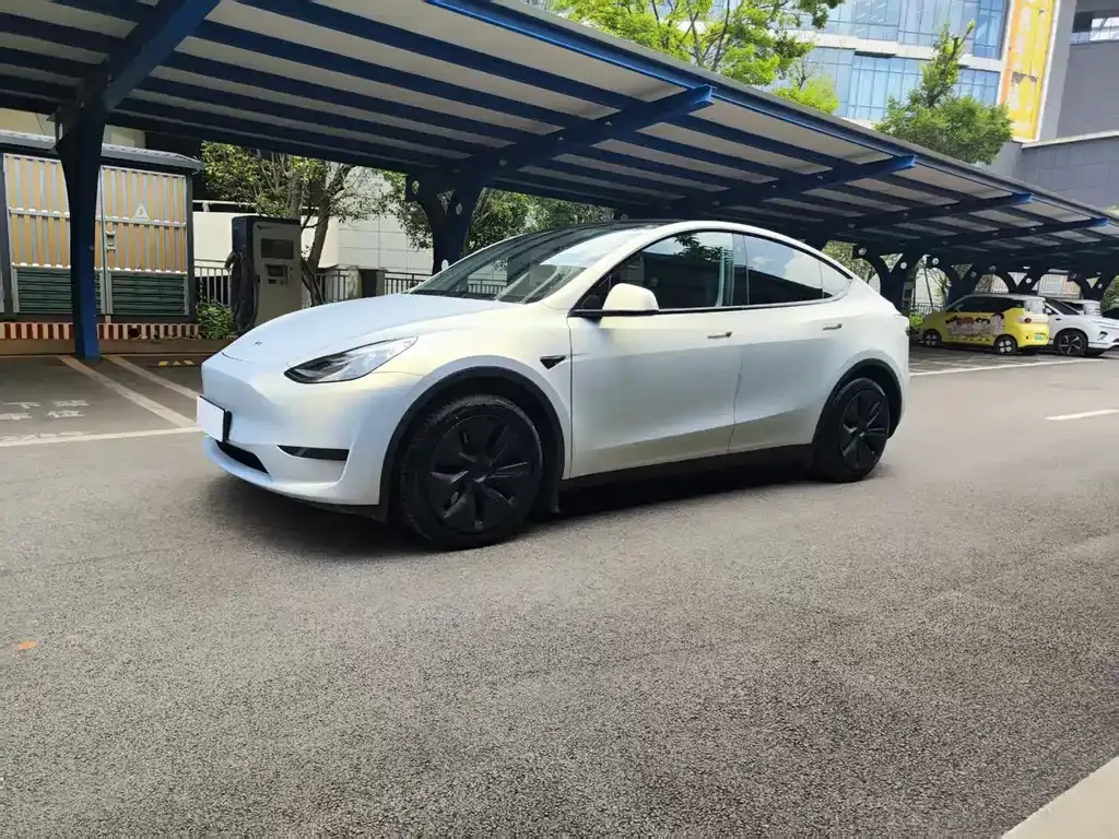 Tesla Model Y — фото 1