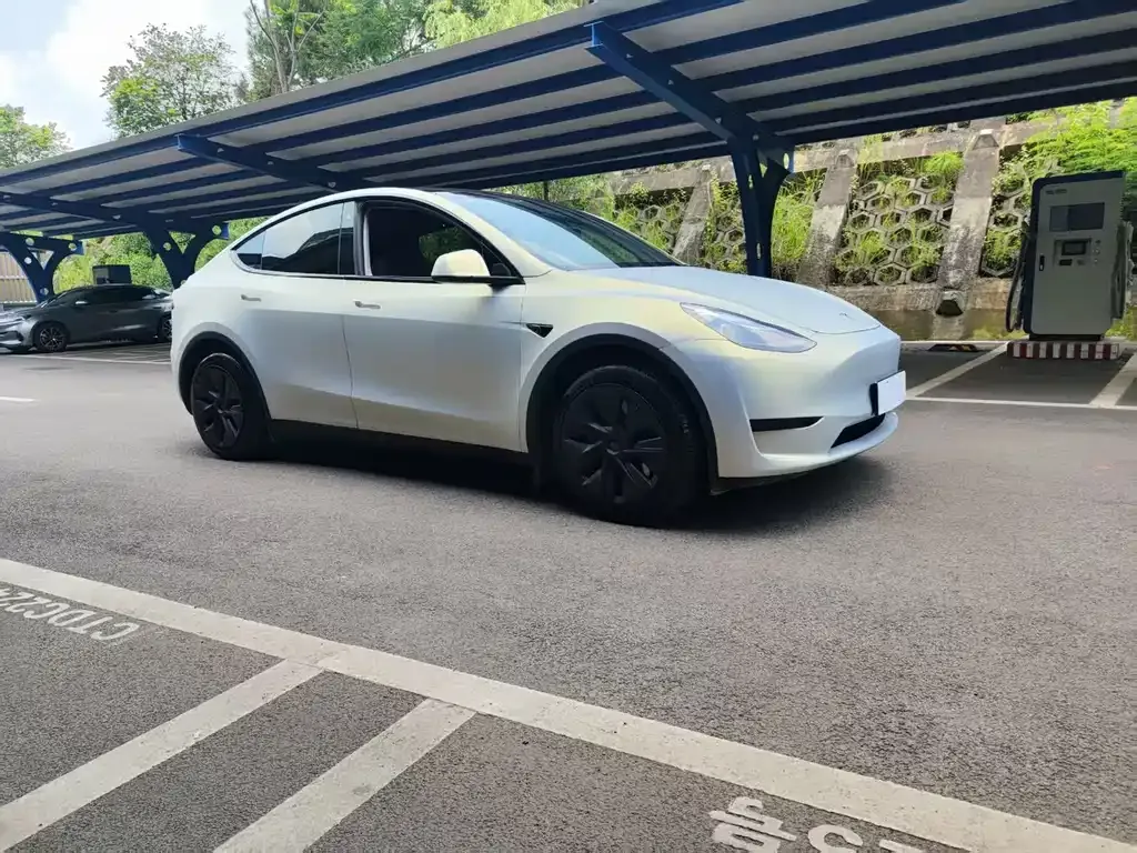 Tesla Model Y — фото 6