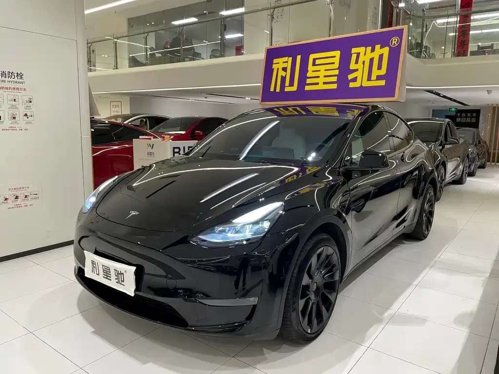 Tesla Model Y — фото 1