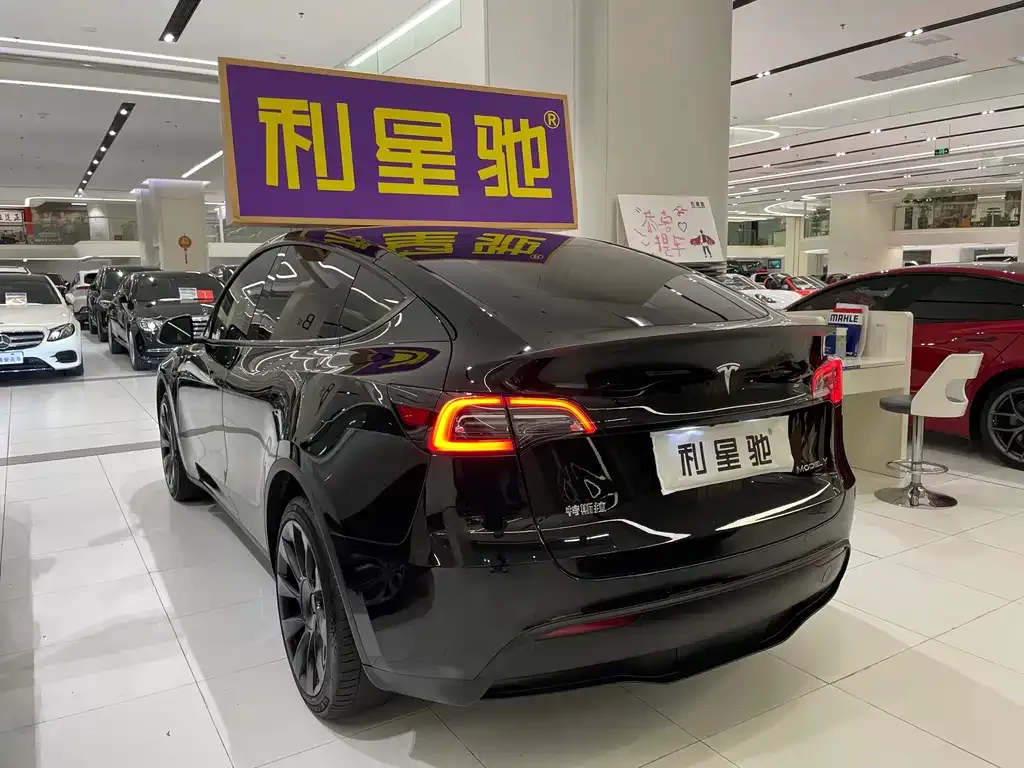 Tesla Model Y — фото 10