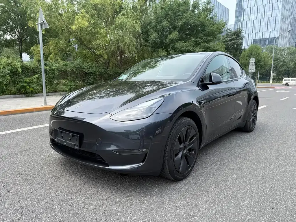 Tesla Model Y — фото 1