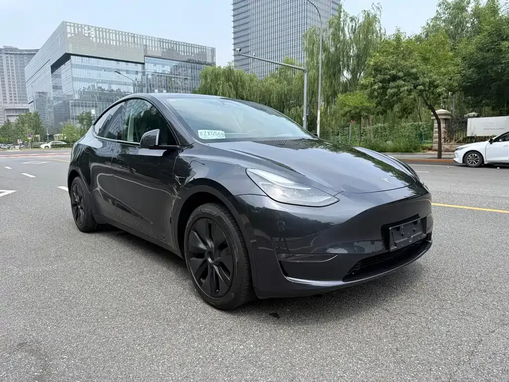 Tesla Model Y — фото 10