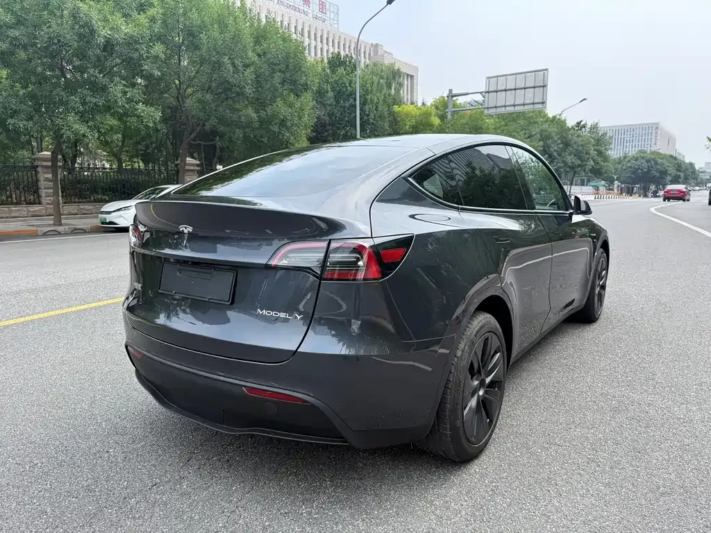 Tesla Model Y — фото 3