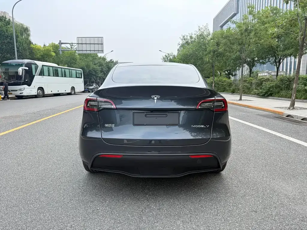 Tesla Model Y — фото 9