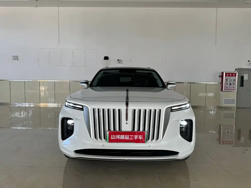Hongqi E-HS9 — фото 10