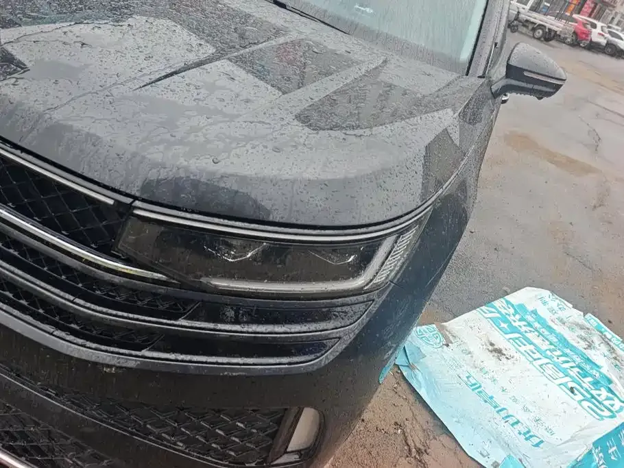 Volkswagen Tavendor 2024 из CN, фото 8