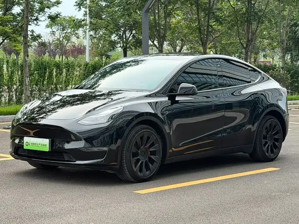 Tesla Model Y — фото 1