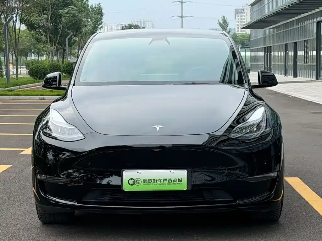 Tesla Model Y — фото 9