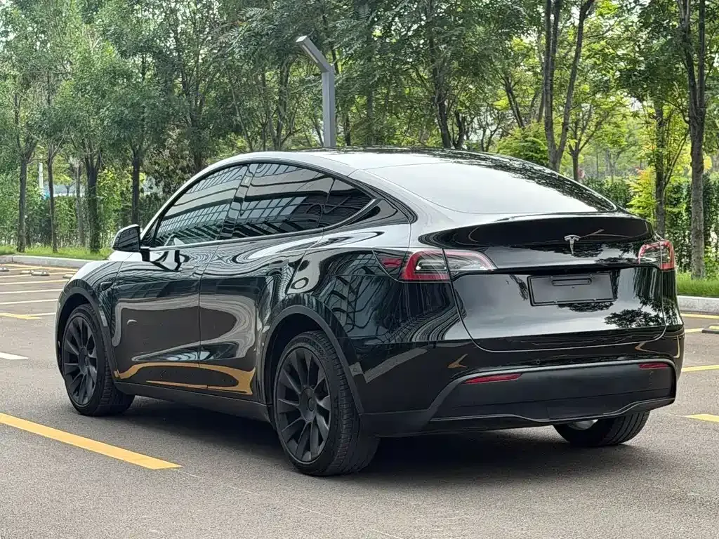 Tesla Model Y — фото 10
