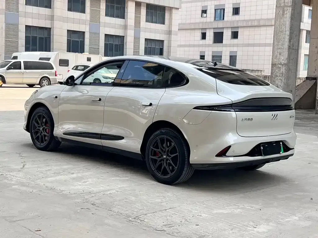 IM LS6 — фото 7