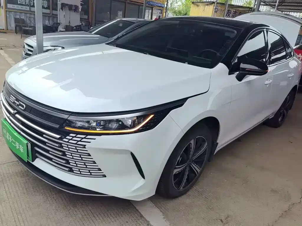 BYD Destroyer 05 2024 из CN, фото 9