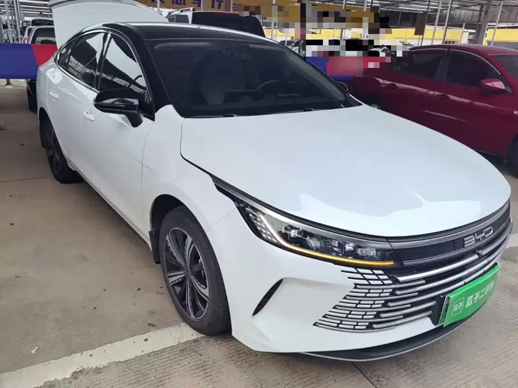 BYD Destroyer 05 2024 из CN, фото 6