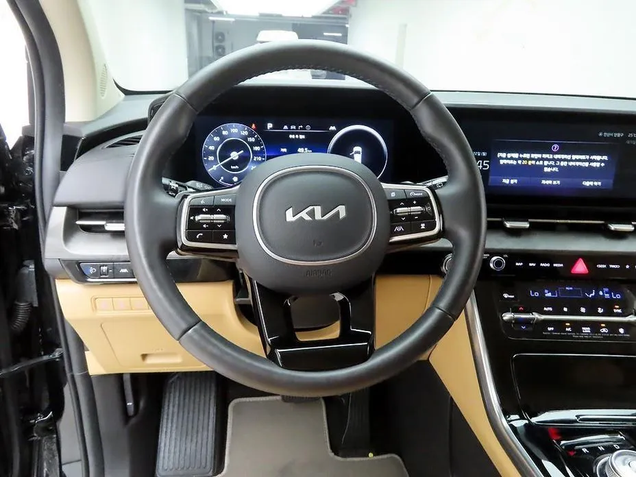 Kia Carnival — фото 8