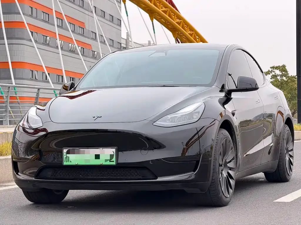 Tesla Model Y — фото 1