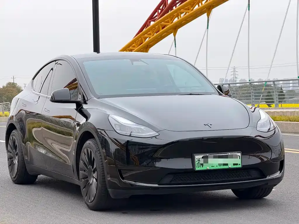 Tesla Model Y — фото 6