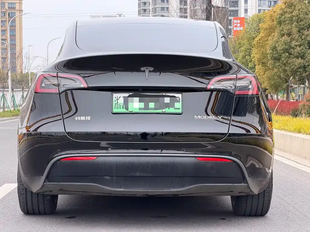 Tesla Model Y — фото 7