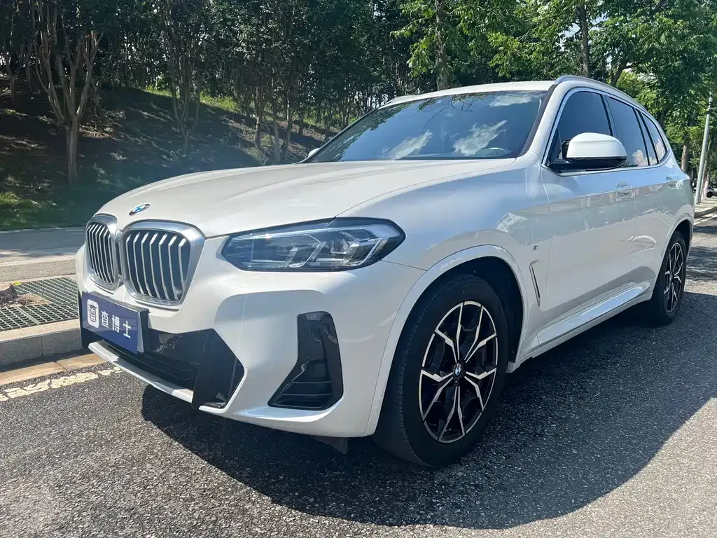 BMW X3 — фото 1