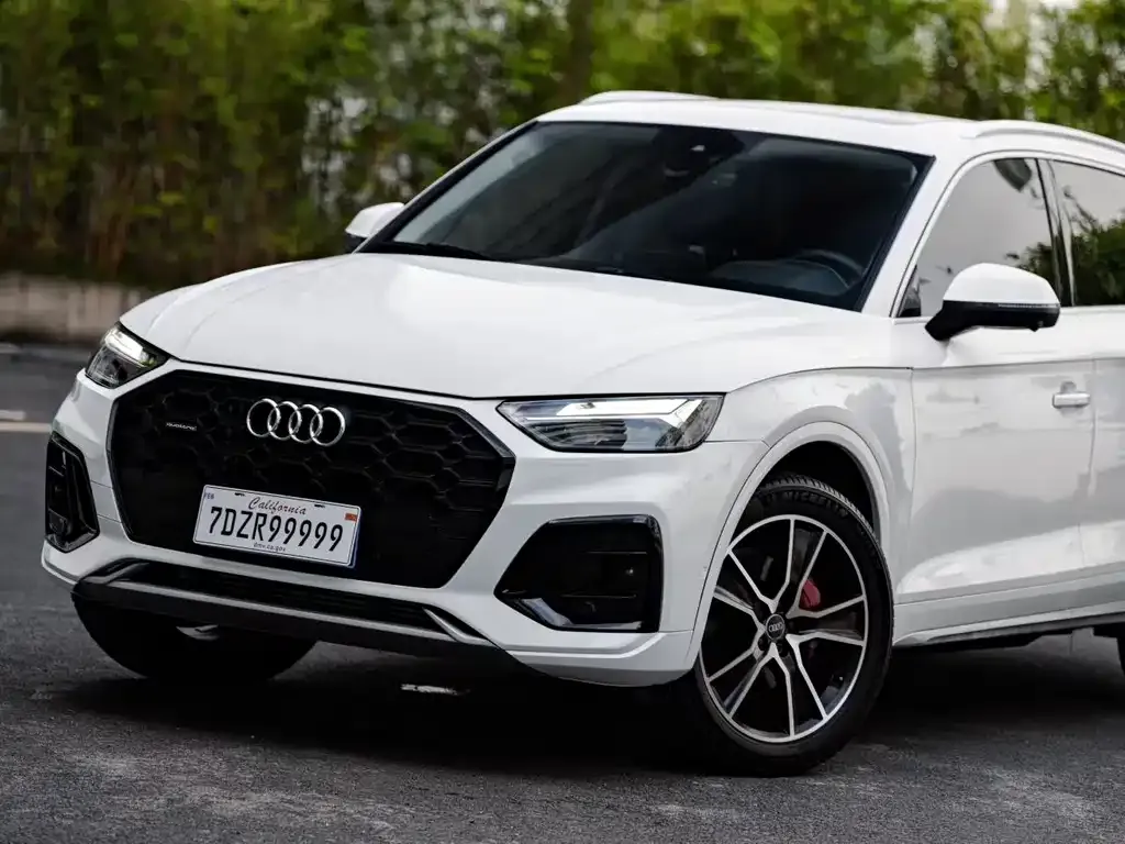 Audi Q5L — фото 6