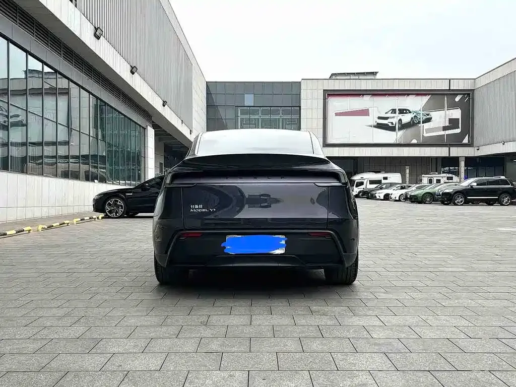 Tesla Model Y — фото 9