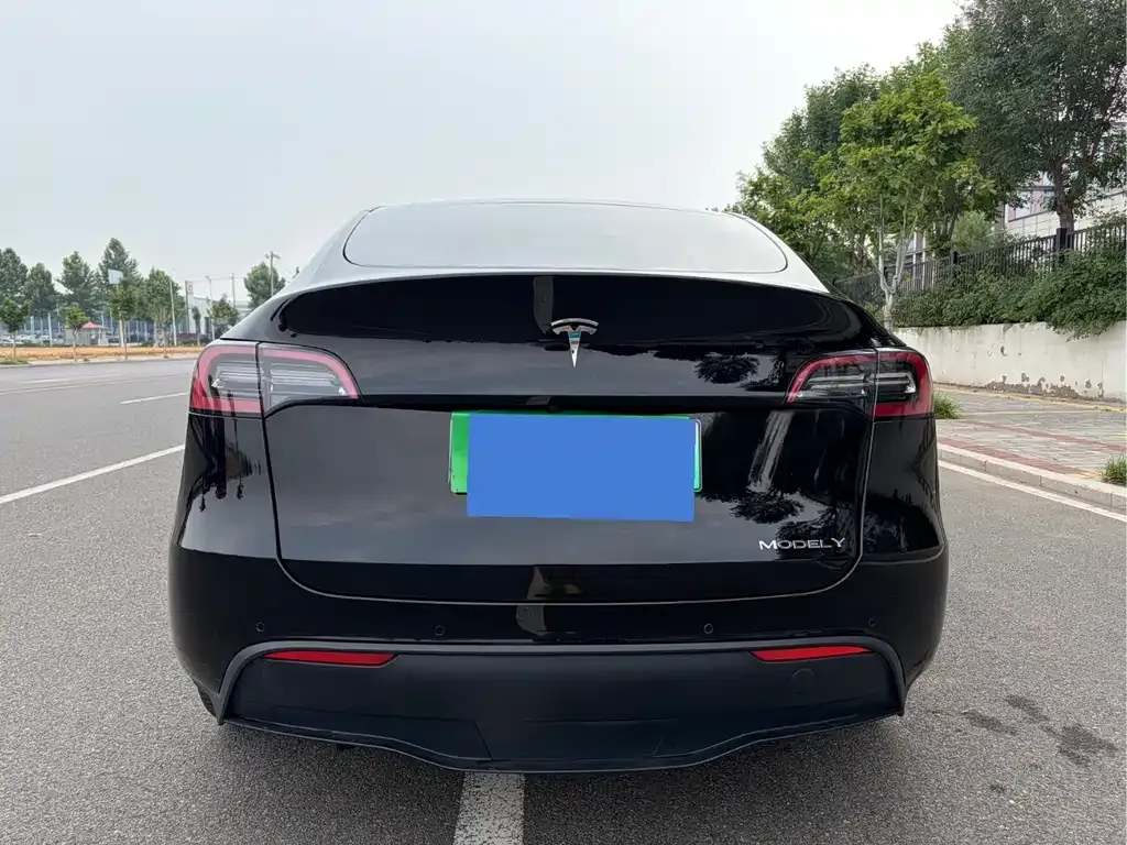 Tesla Model Y — фото 10