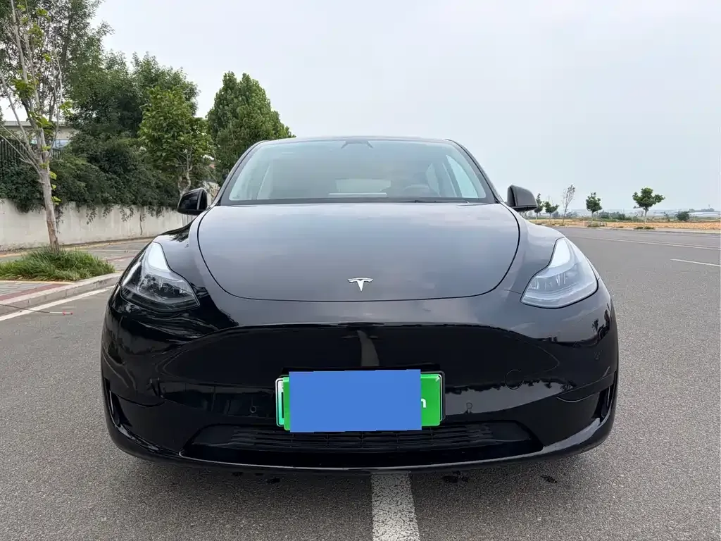 Tesla Model Y — фото 6