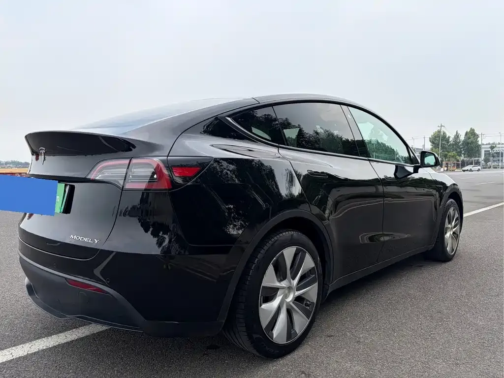 Tesla Model Y — фото 3