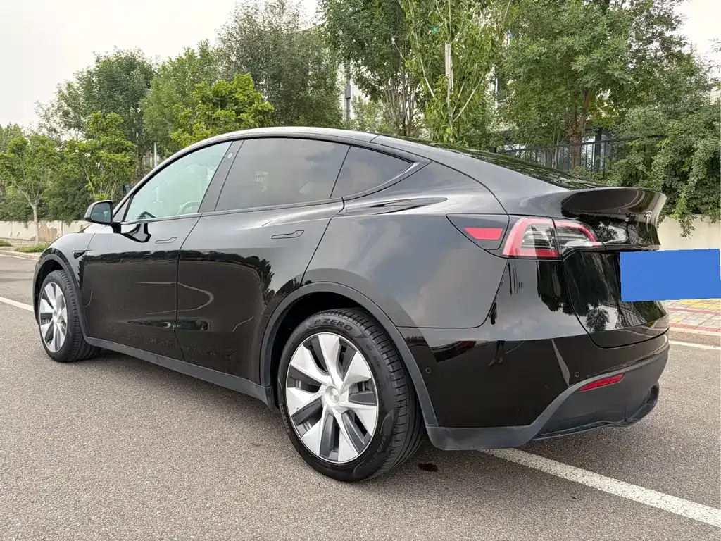Tesla Model Y — фото 9