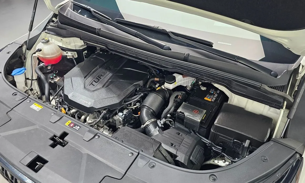 Kia Carnival — фото 10
