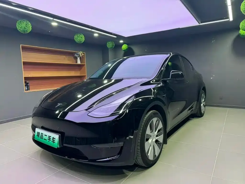 Tesla Model Y — фото 1