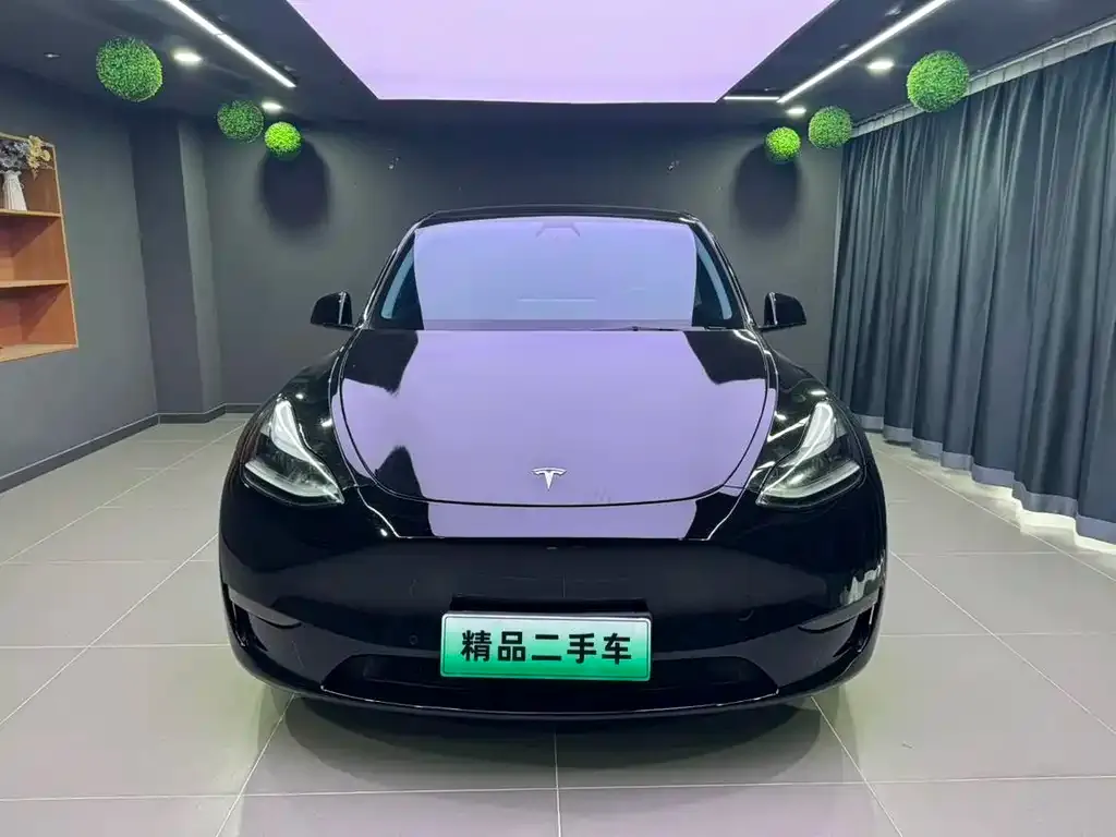 Tesla Model Y — фото 6