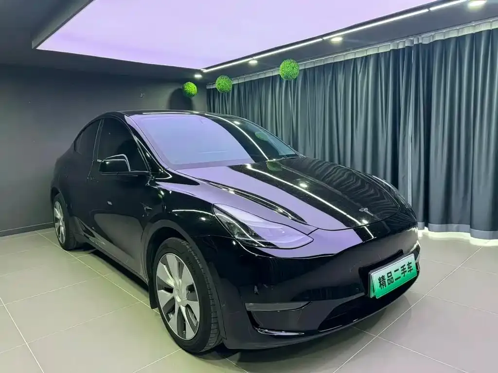 Tesla Model Y — фото 9