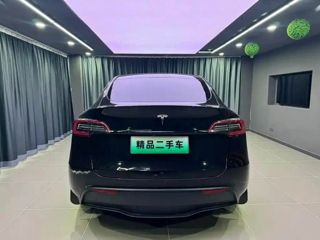 Tesla Model Y — фото 8